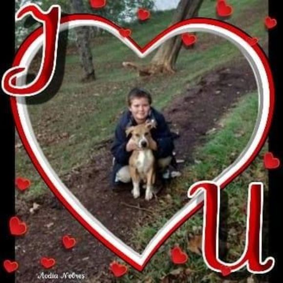 Meet your Posher, David - Picture 1 of 1